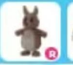 Regular Kangaroo  Adopt Me!