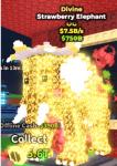 Divine Strawberry Elephant