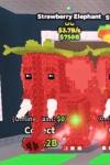 strawberry elephant