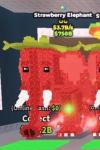strawberry elephant
