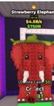 strawberry elephant