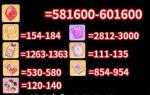 タイヤ581600~601600個+UR限定符530+UR閃定縁符854枚+花嫁限定1263枚