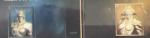 ニア/ フィデス   伝説クラス1体  使い魔共存