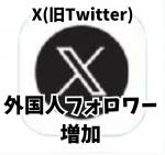 X（旧Twitter）🍀外国人フォロワー 1000人 🍀減少保証つき！