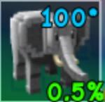 新0.5%レアペット　エレファント 