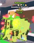 strawberry elephant 20.6B/s ストエレ