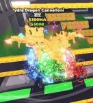 ヒドラ Hydra Dragon Canelloni 300M/s　在庫分