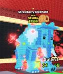 ストロベリーエレファント