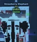 yinynag  strawberry elephant    4B/S