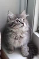 ユーザー名